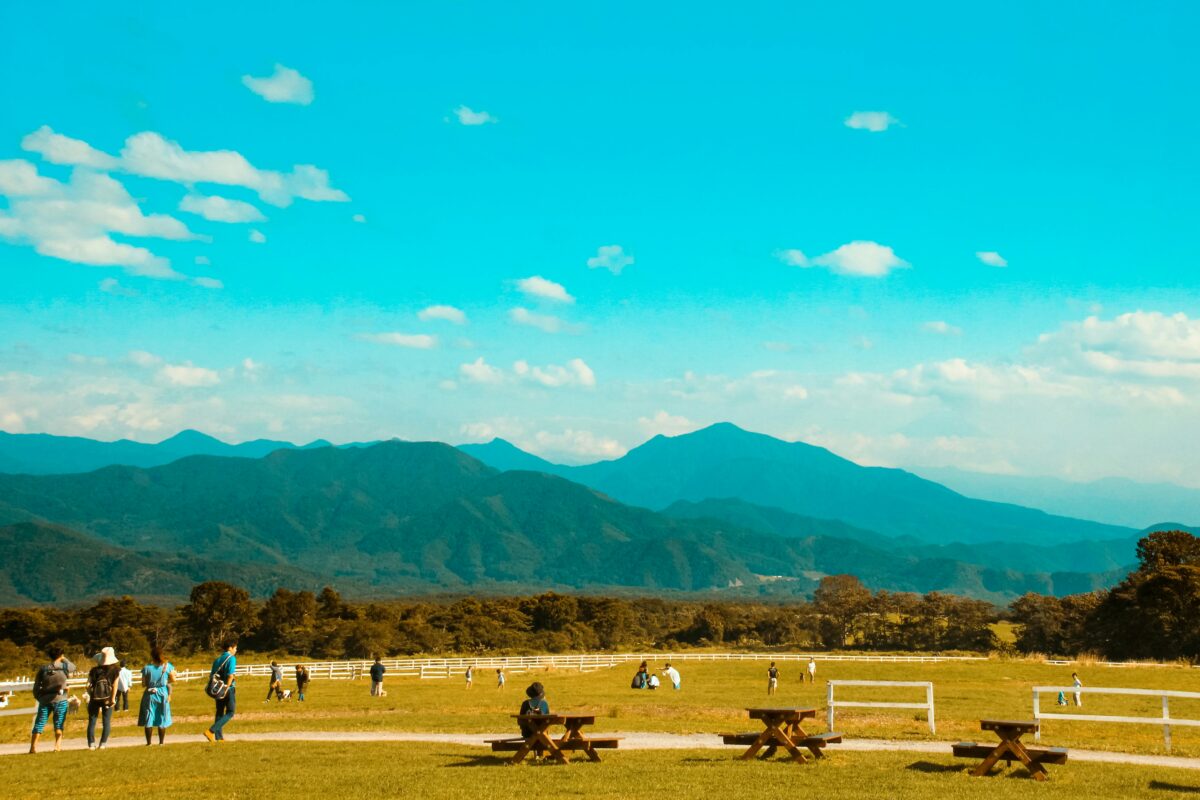 広い公園の画像